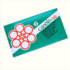 Candid – V6 100Mg Pessaries