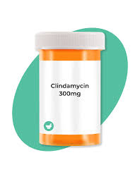 Clindamycin 300Mg 100S